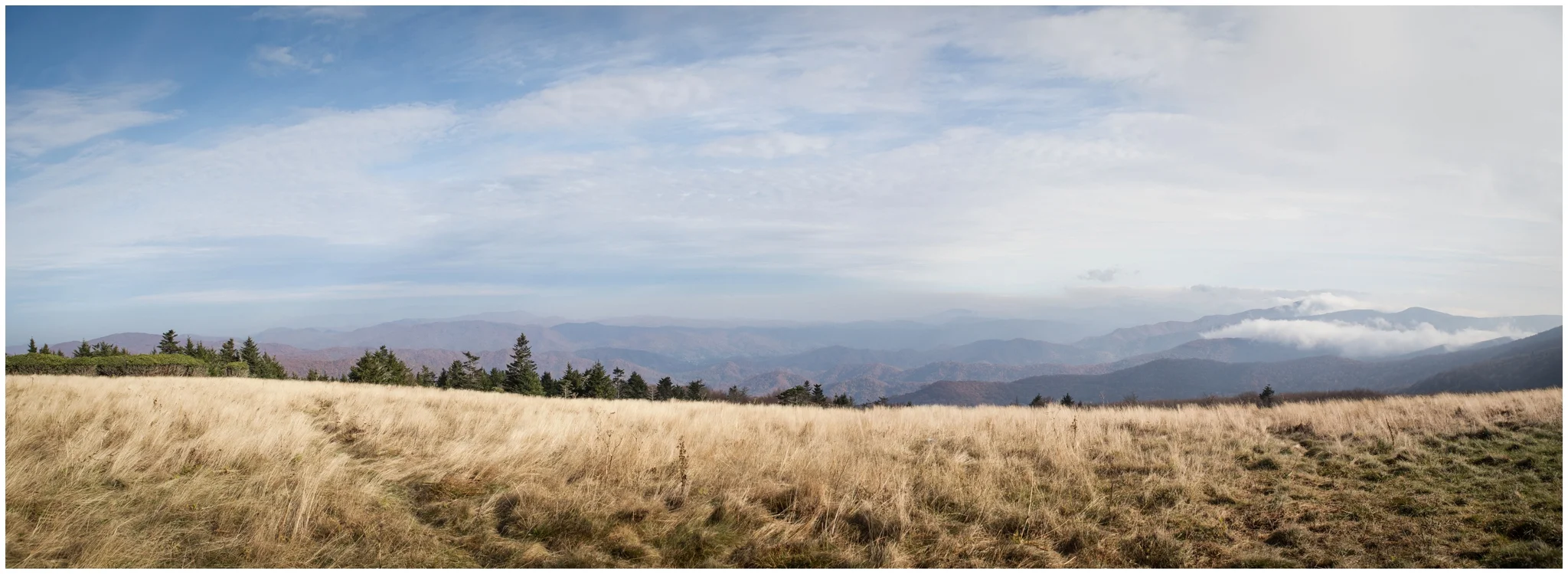 roan-mountain-carvers-gap-appalachian-trail-katy-sergent_0024.jpg