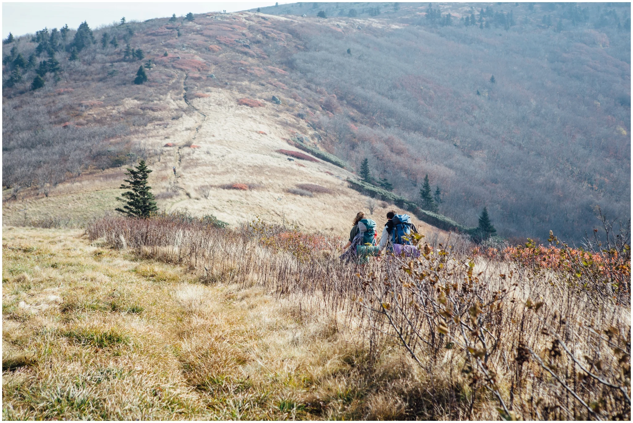 roan-mountain-carvers-gap-appalachian-trail-katy-sergent_0018.jpg