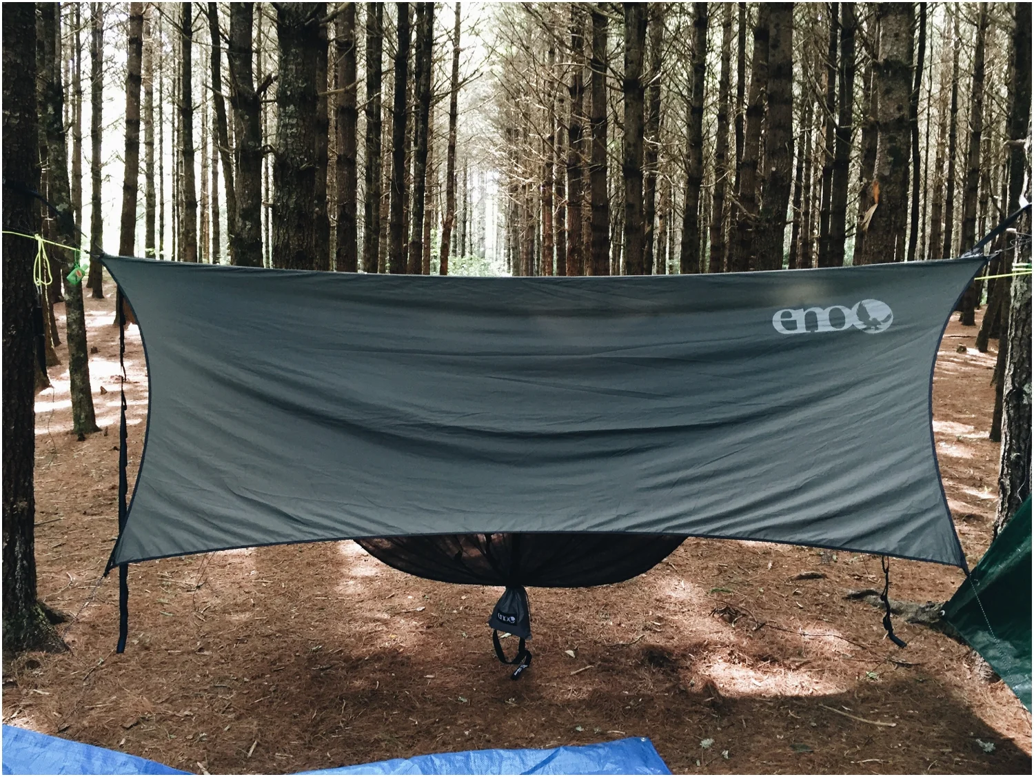 My hammock set up with Elizabeth's rain fly.