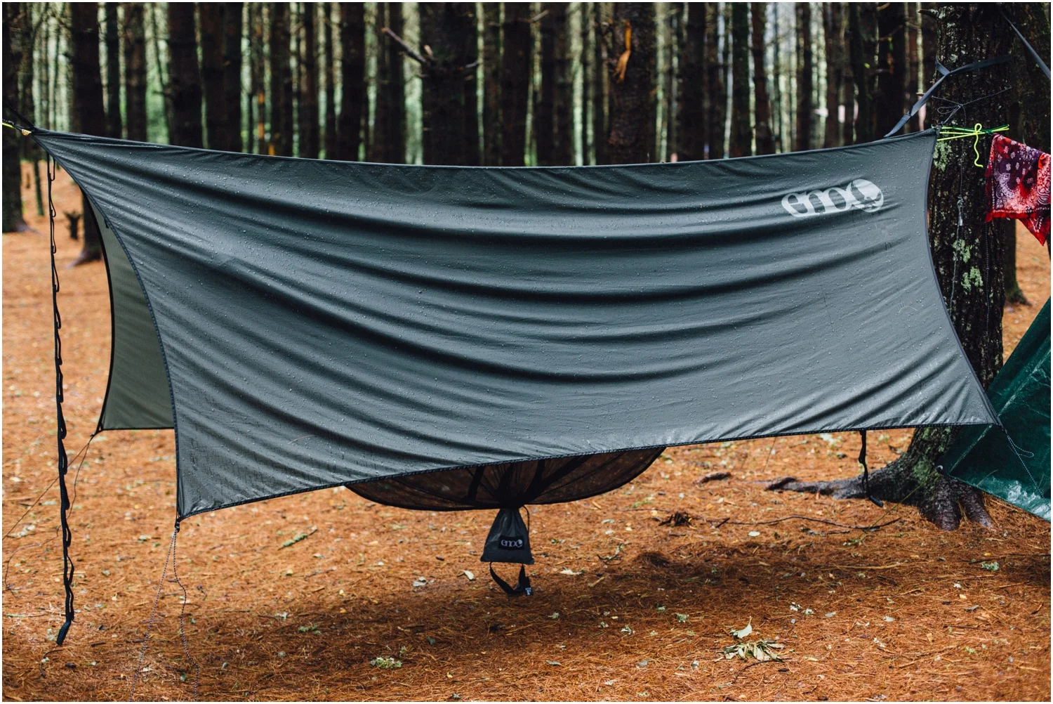 My hammock stayed dry! Gotta love a rainfly! So thankful for this gear!