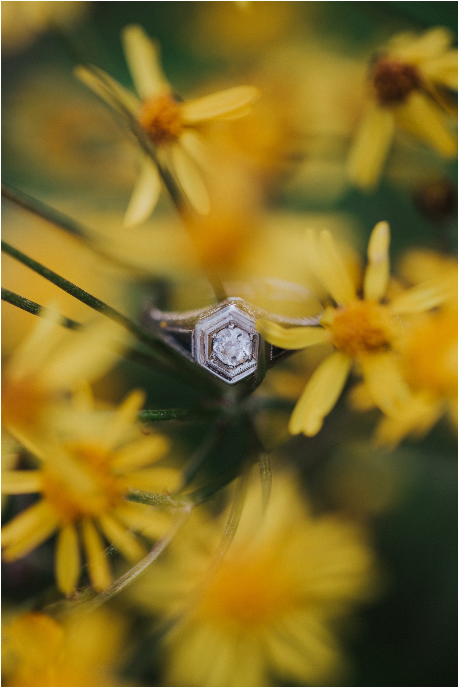 katy-sergent-photography-beauty-spot-unaka-mountain-engagement-blue-ridge-mountains-appalachian-trail-adventurous-couple-elopement-johnson-city-wedding-photographer_0013.jpg