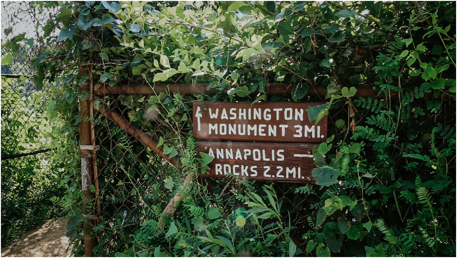 katy-sergent-photography-proposal-appalachian-trail-annapolis-rocks-adventurous-wedding-couples-intimate-elopement-hiking-backpacking-camping-photographer-johnson-city-tn-northeast-tennessee_0005.jpg