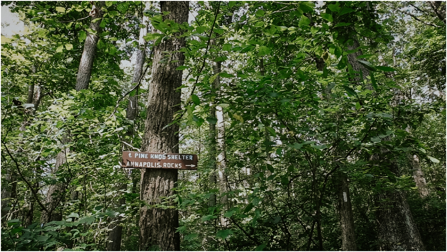 katy-sergent-photography-proposal-appalachian-trail-annapolis-rocks-adventurous-wedding-couples-intimate-elopement-hiking-backpacking-camping-photographer-johnson-city-tn-northeast-tennessee_0008.jpg