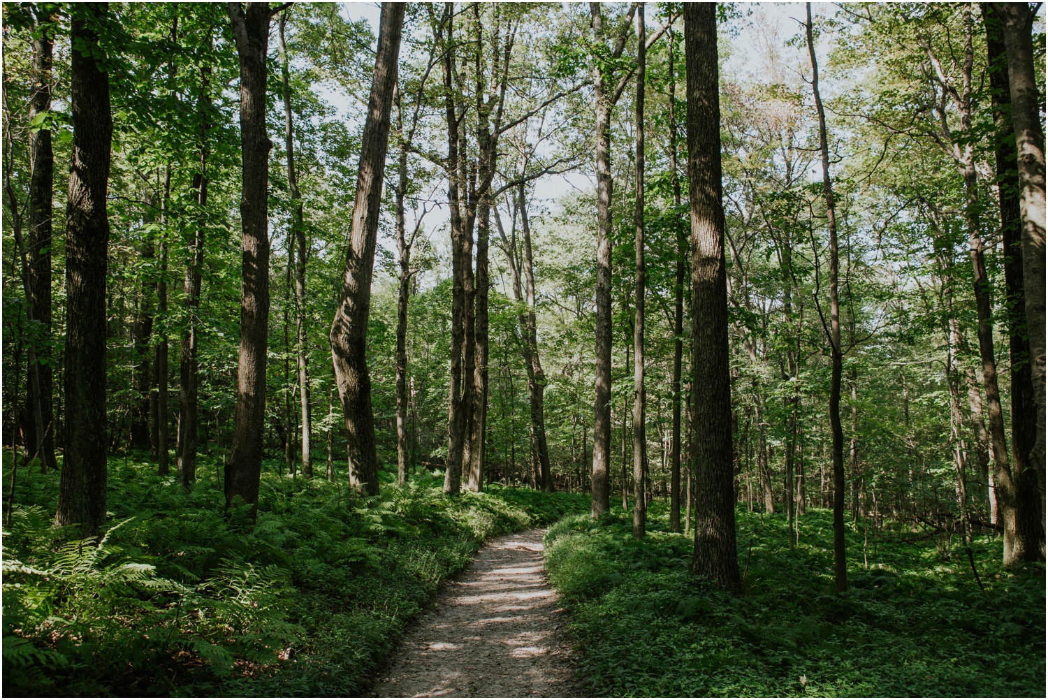 katy-sergent-photography-proposal-appalachian-trail-annapolis-rocks-adventurous-wedding-couples-intimate-elopement-hiking-backpacking-camping-photographer-johnson-city-tn-northeast-tennessee_0009.jpg