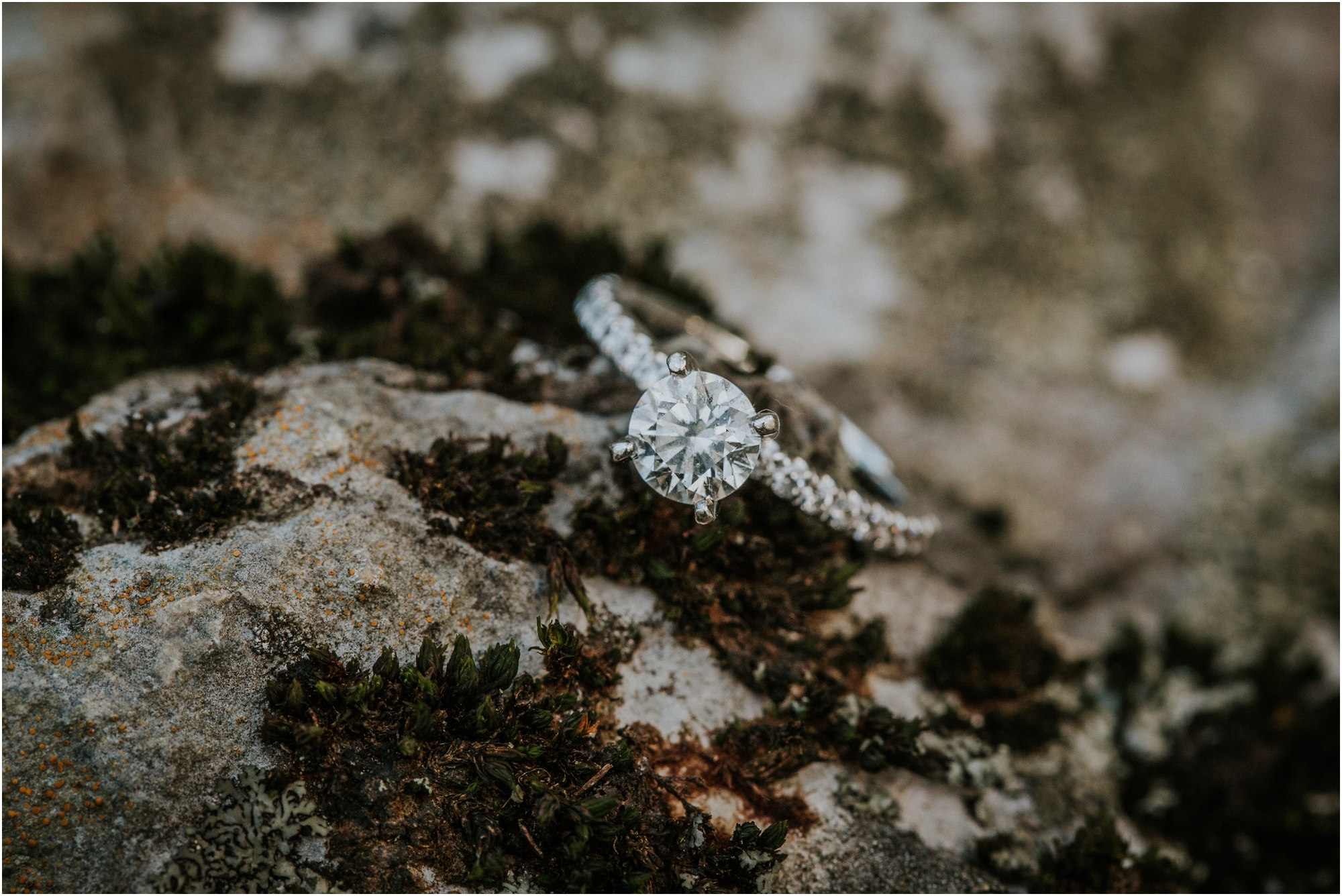 katy-sergent-millstone-limestone-tn-rustic-fall-engagement-session-adventurous-outdoors-intimate-elopement-wedding-northeast-johnson-city-photographer_0006.jpg