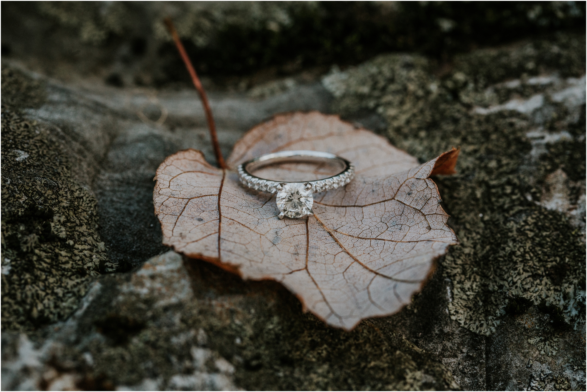 katy-sergent-millstone-limestone-tn-rustic-fall-engagement-session-adventurous-outdoors-intimate-elopement-wedding-northeast-johnson-city-photographer_0008.jpg