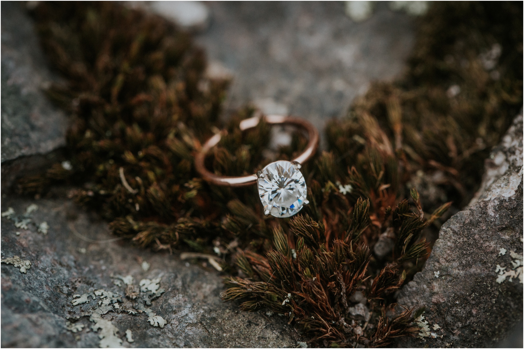 grayson-highlands-engagement-session-foggy-mountain-rustic-appalachian-virginia-katy-sergent-photography_0036.jpg