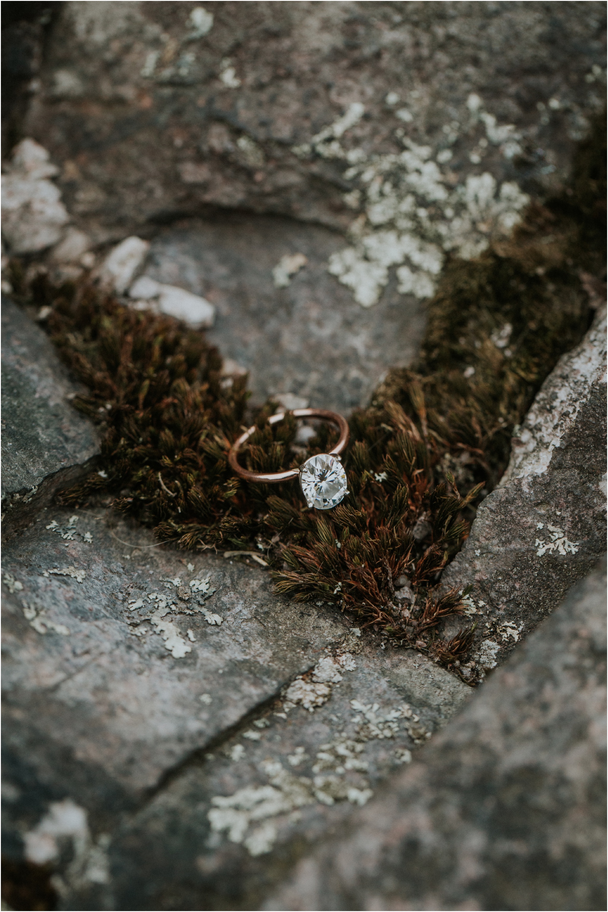 grayson-highlands-engagement-session-foggy-mountain-rustic-appalachian-virginia-katy-sergent-photography_0035.jpg