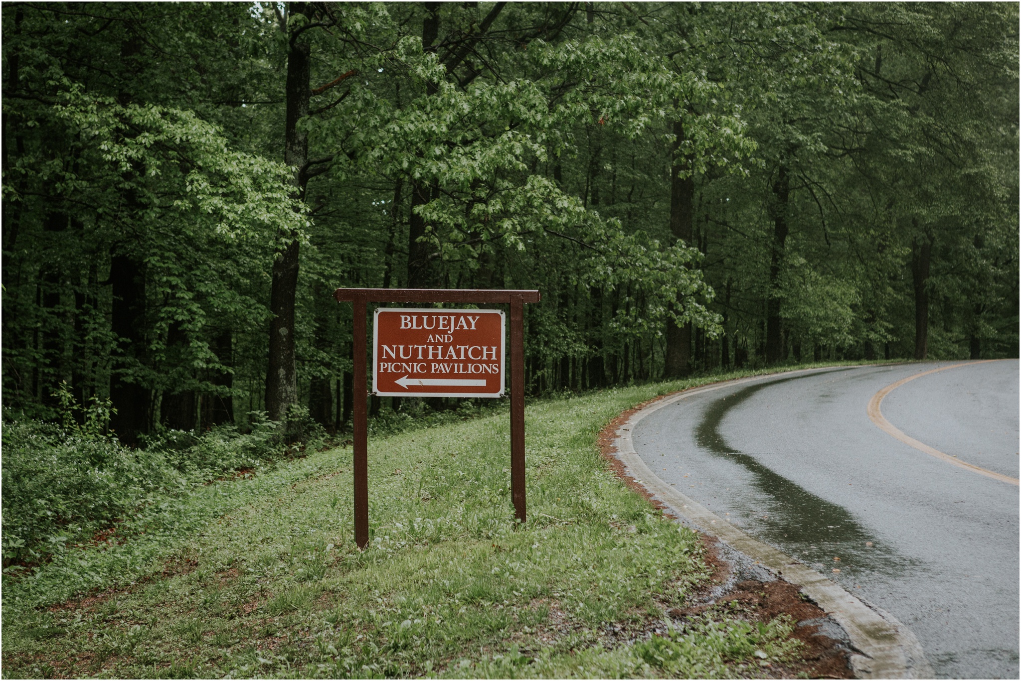 seneca-creek-state-park-maryland-intimate-woodland-wedding-forest-rock-climbing-adventurous-couple_0002.jpg