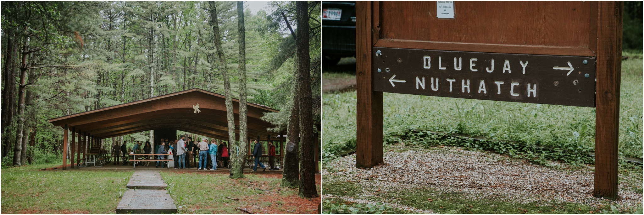 seneca-creek-state-park-maryland-intimate-woodland-wedding-forest-rock-climbing-adventurous-couple_0110.jpg