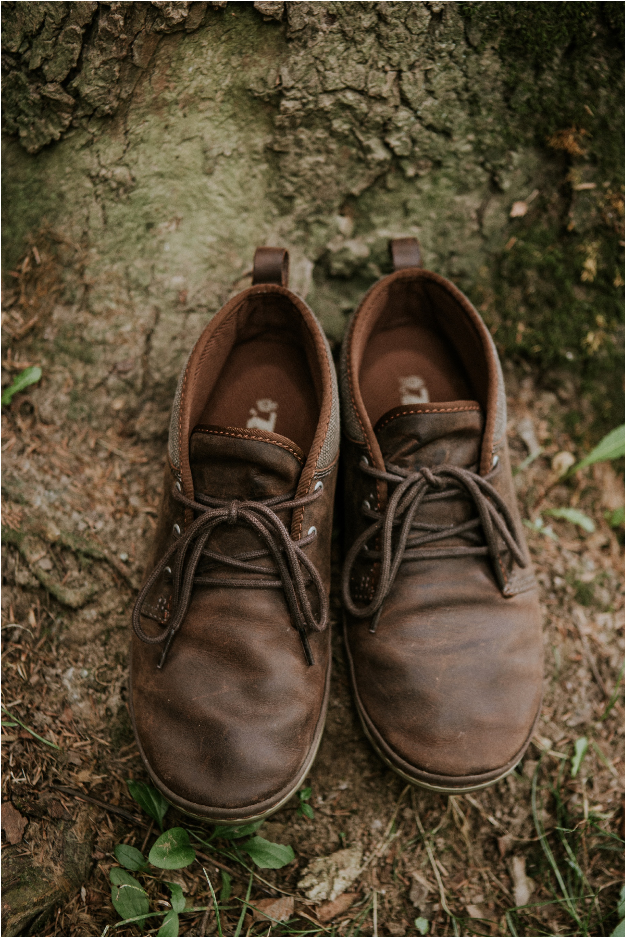 sugar-hollow-park-bristol-virginia-wedding-intimate-woodsy-black-forest-ceremony-adventurous-couple_0047.jpg