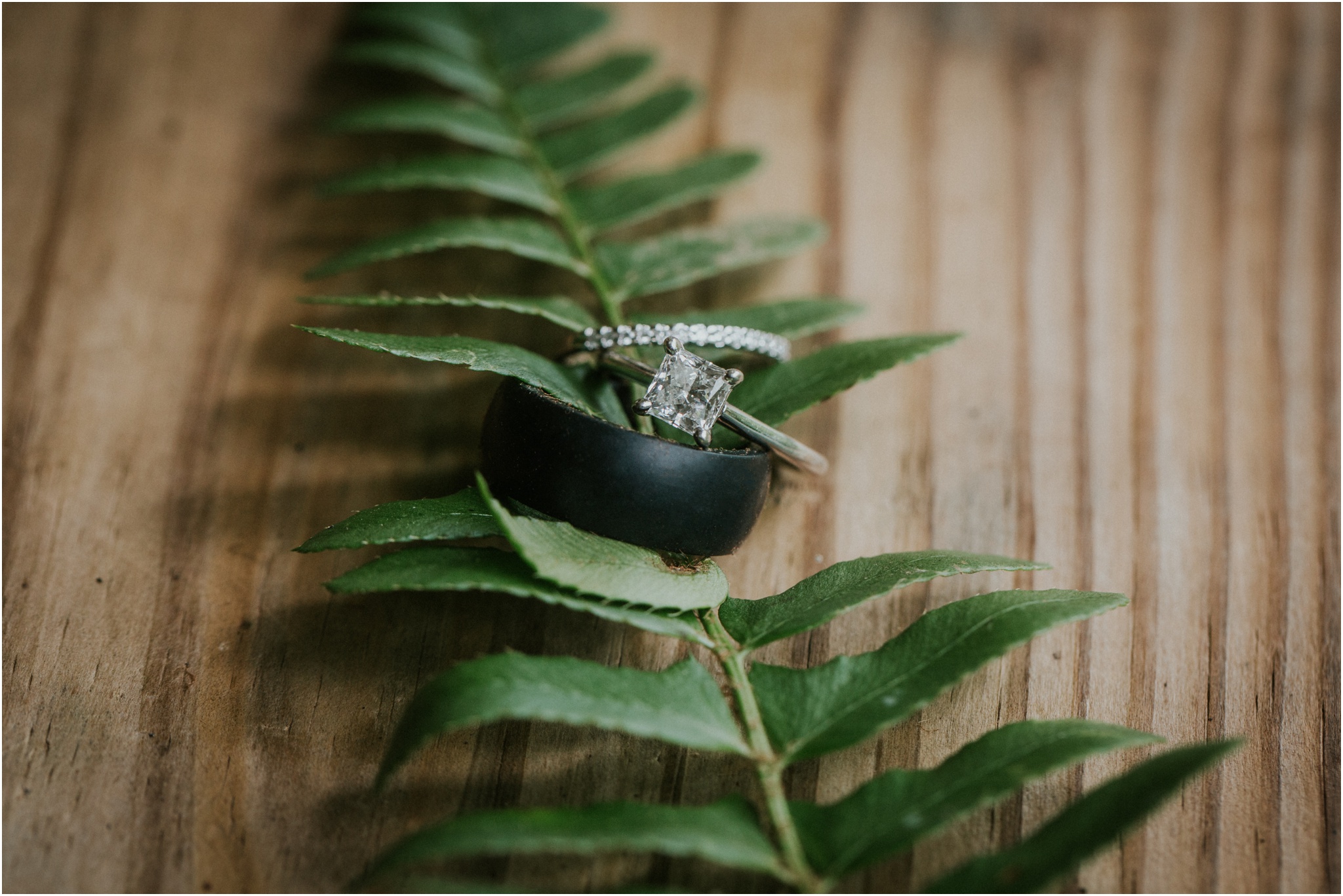 sugar-hollow-park-bristol-virginia-wedding-intimate-woodsy-black-forest-ceremony-adventurous-couple_0049.jpg