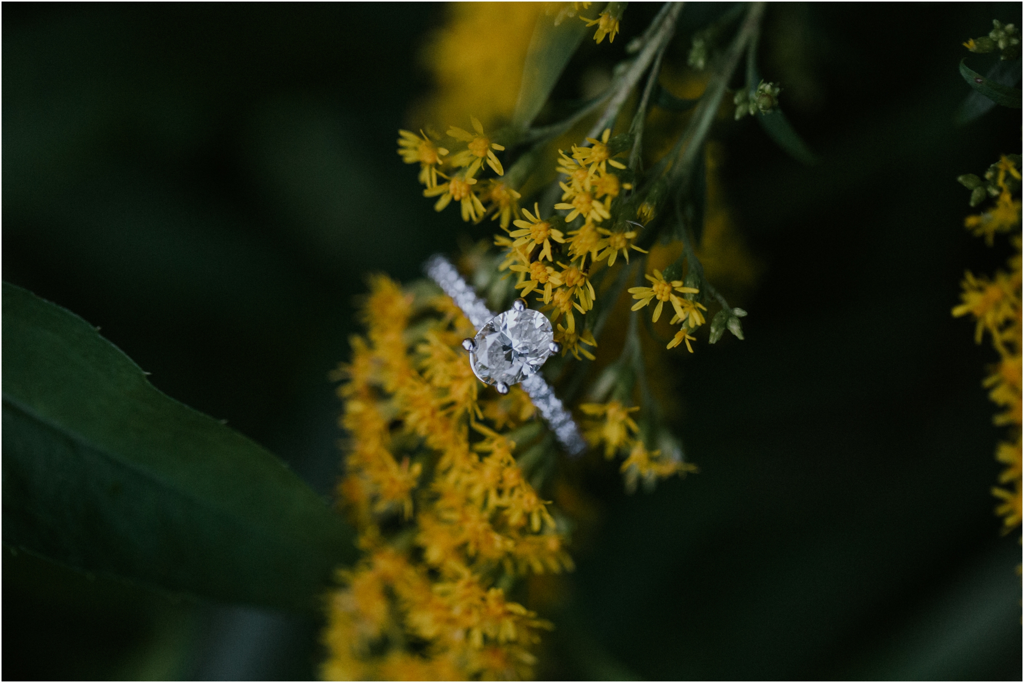 rustic-farm-virginia-countryside-sunset-engagement-session-grayson-county-independence-katy-sergent-northeast-tennessee_0060.jpg