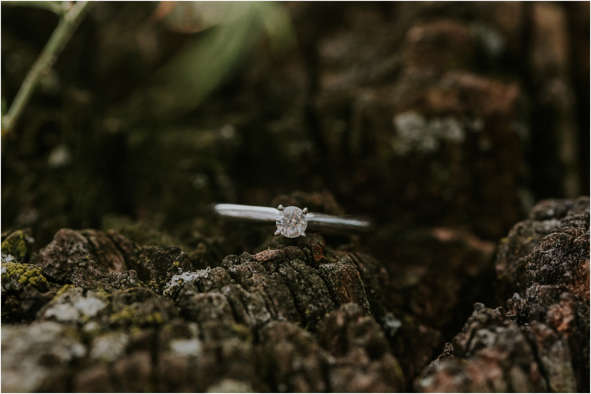 beauty-spot-unaka-mountains-erwin-tn-tennessee-engagement-session-sunset-adventurous-couple-mountain-bald_0005.jpg