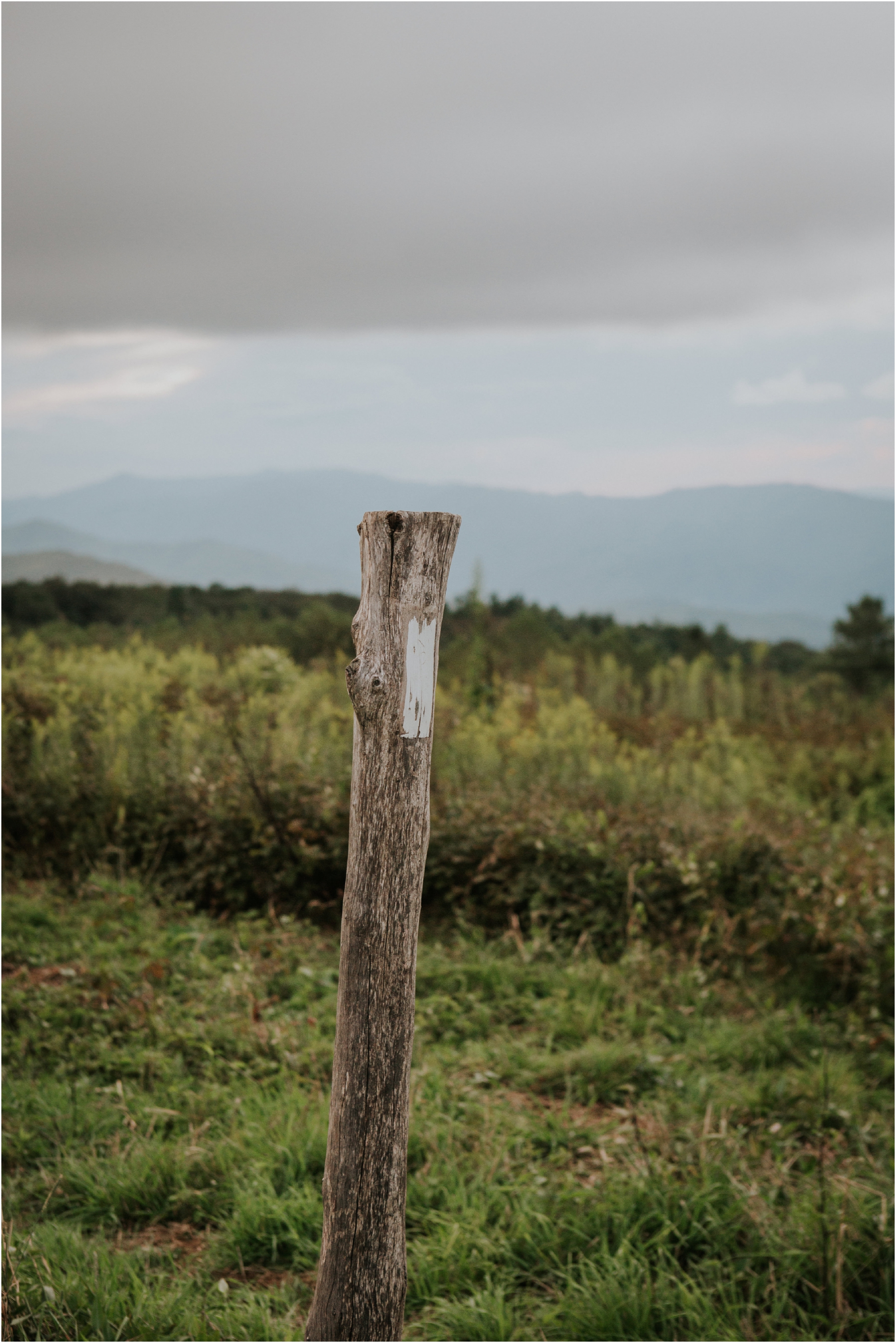 beauty-spot-unaka-mountains-erwin-tn-tennessee-engagement-session-sunset-adventurous-couple-mountain-bald_0033.jpg