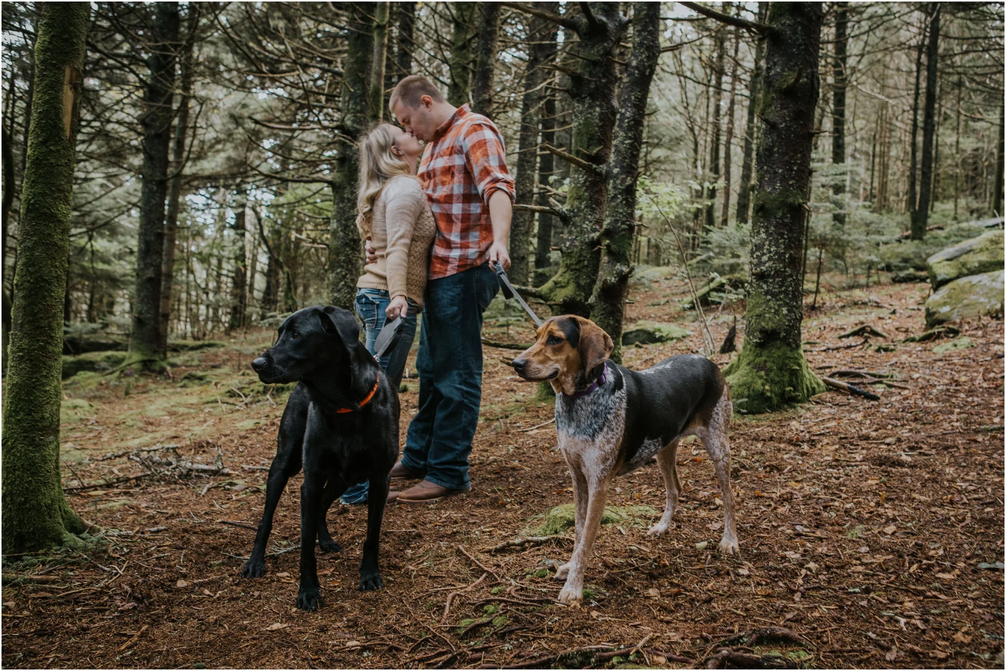 roan-mountain-fall-sunset-engagement-session-tennessee-asheville-northcarolina-appalachiantrail-dog_0005.jpg
