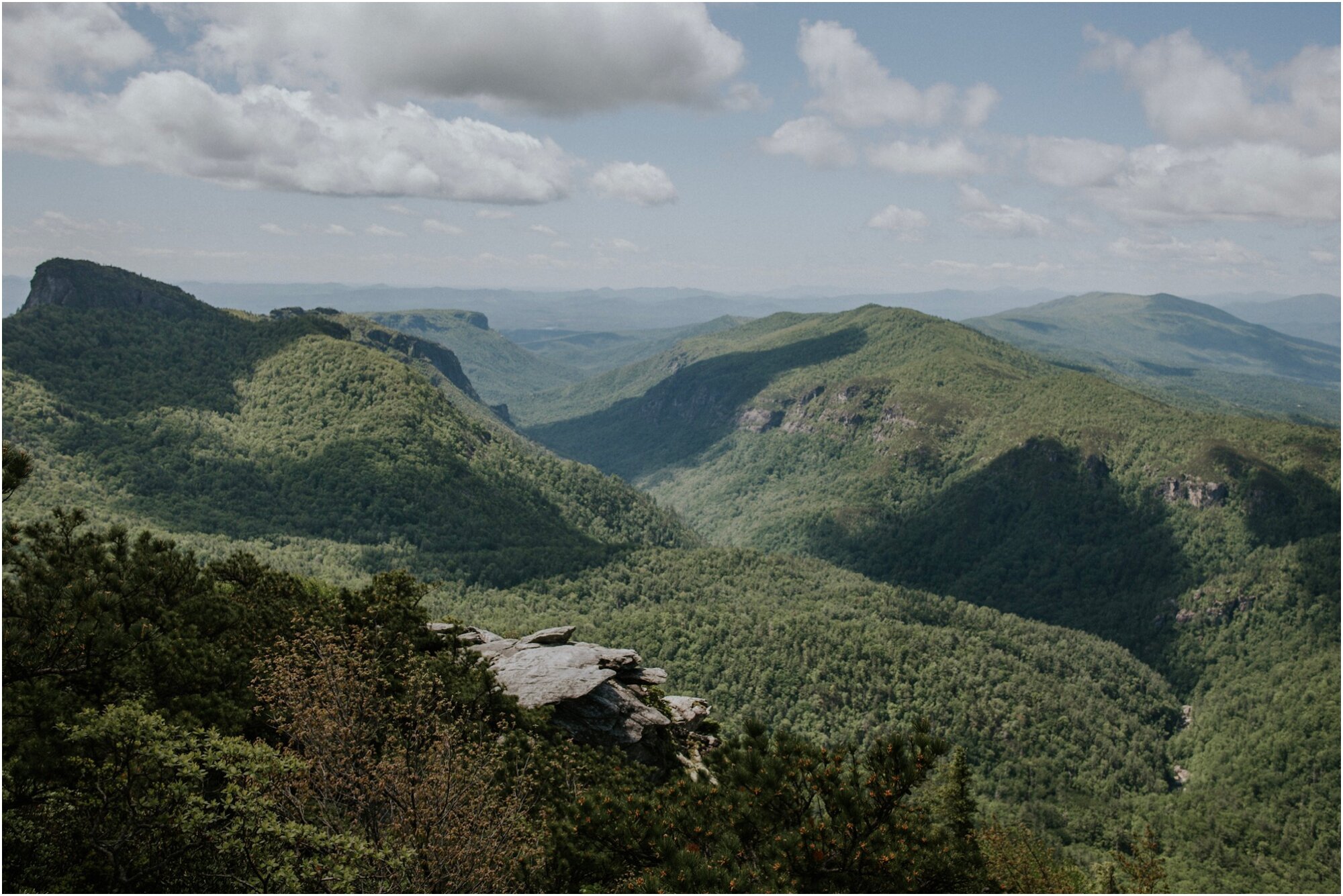   On this hike, I realized just how amazing North Carolina is.  