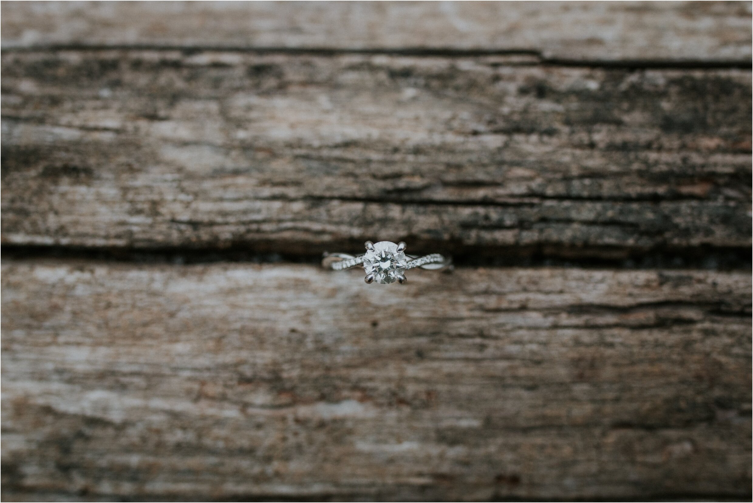 winter-lake-engagement-session-johnson-city-northeast-tennessee-wedding-elopement-photographer_0030.jpg