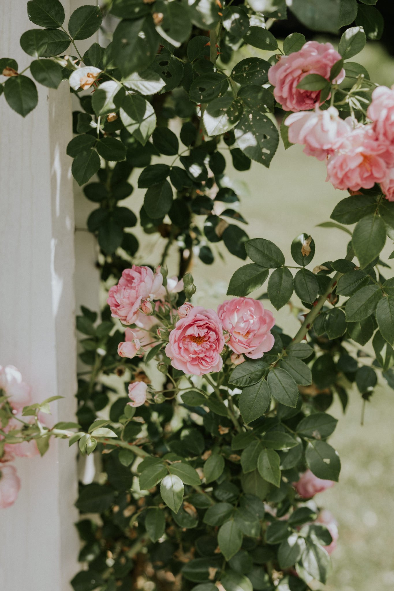 greenwood-oaks-greeneville-tennessee-wedding-katy-sergent-photography-3.jpg