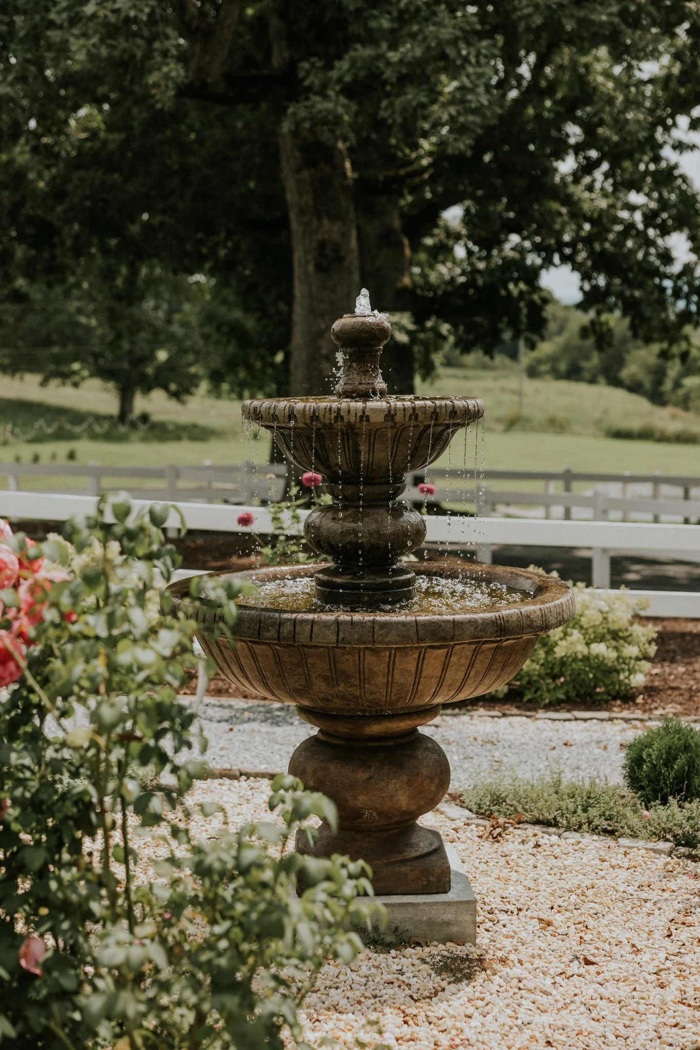 greenwood-oaks-farm-wildflower-garden-summer-wedding-afton-tennessee-greeneville-tn-katy-sergent-photography-2.jpg