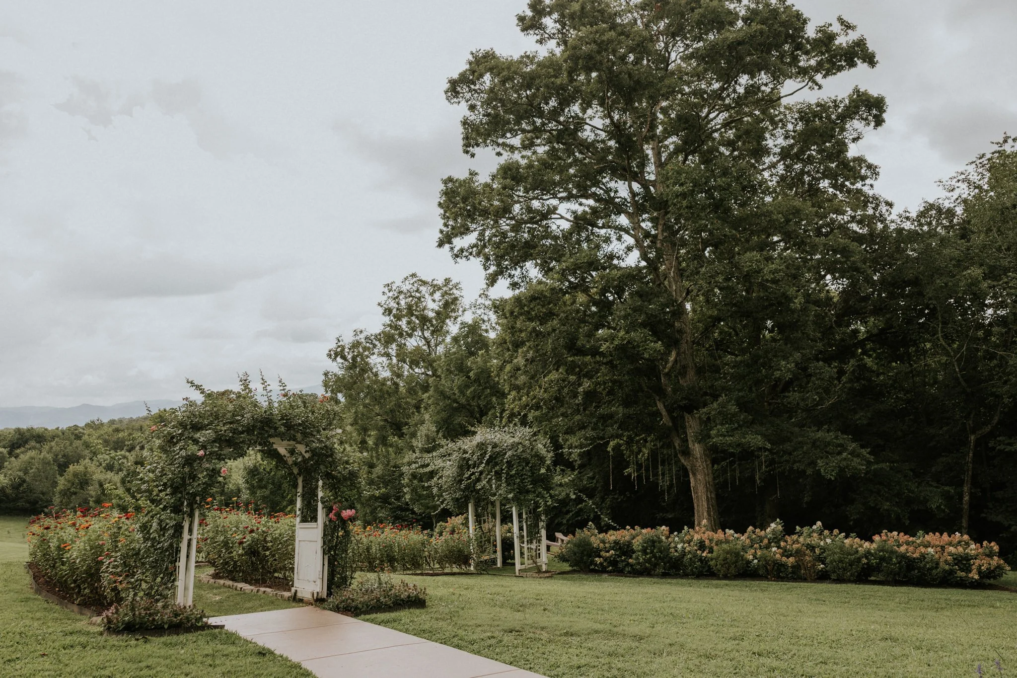 greenwood-oaks-farm-wildflower-garden-summer-wedding-afton-tennessee-greeneville-tn-katy-sergent-photography-4.jpg