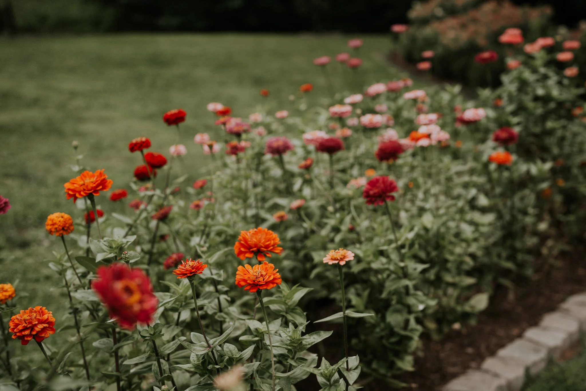 greenwood-oaks-farm-wildflower-garden-summer-wedding-afton-tennessee-greeneville-tn-katy-sergent-photography-7.jpg