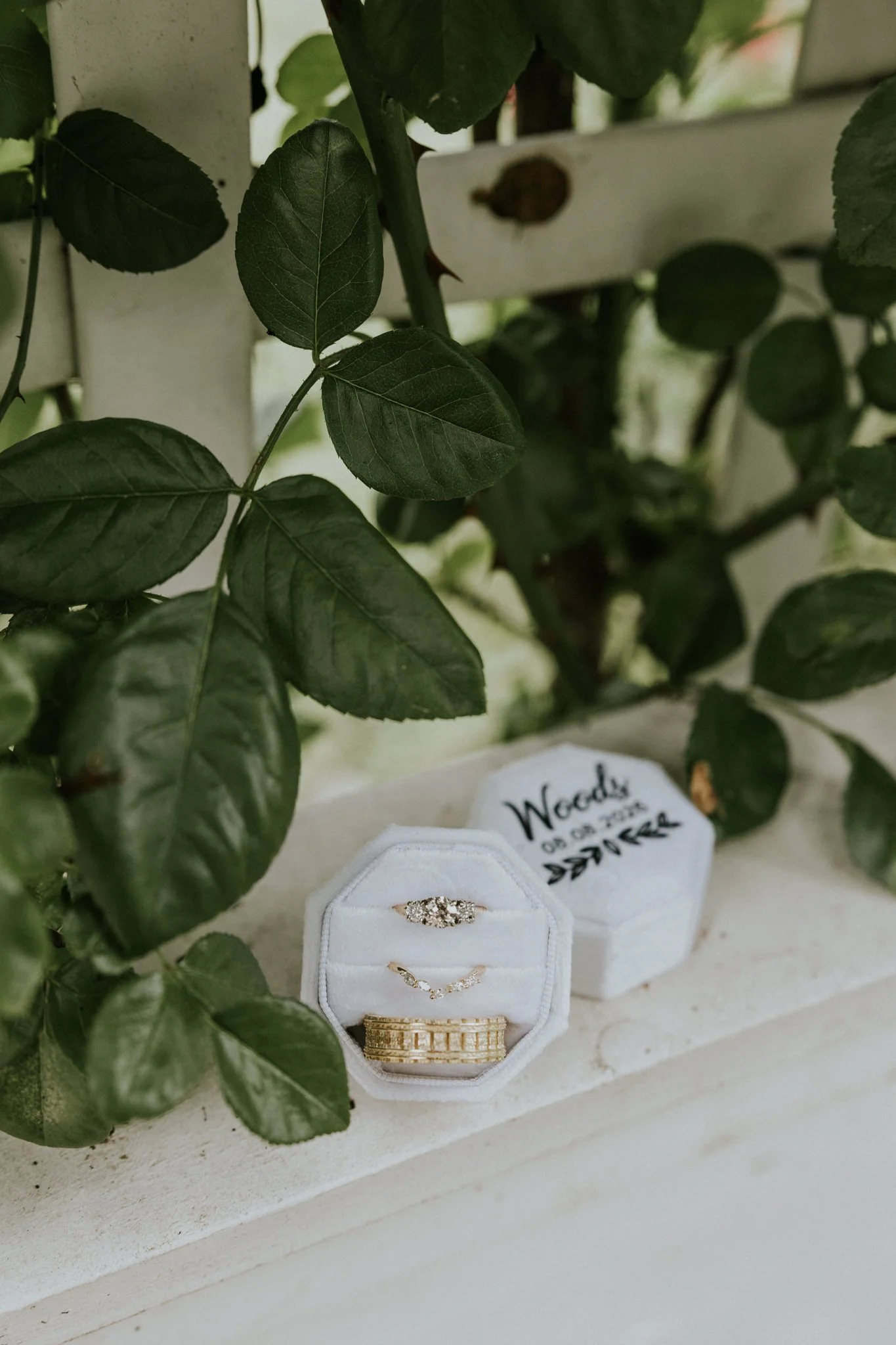 greenwood-oaks-farm-wildflower-garden-summer-wedding-afton-tennessee-greeneville-tn-katy-sergent-photography-15.jpg