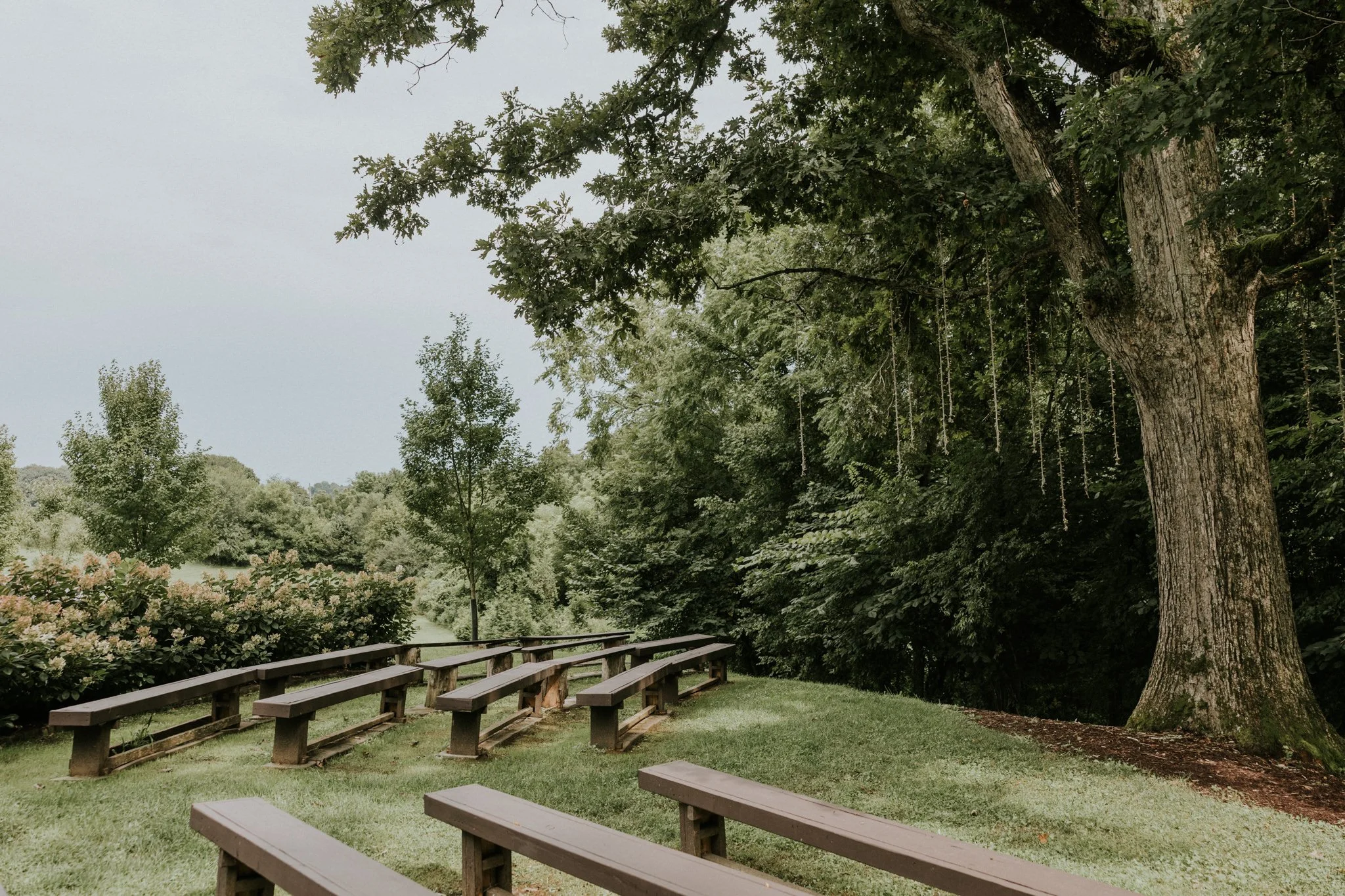 greenwood-oaks-farm-wildflower-garden-summer-wedding-afton-tennessee-greeneville-tn-katy-sergent-photography-63.jpg