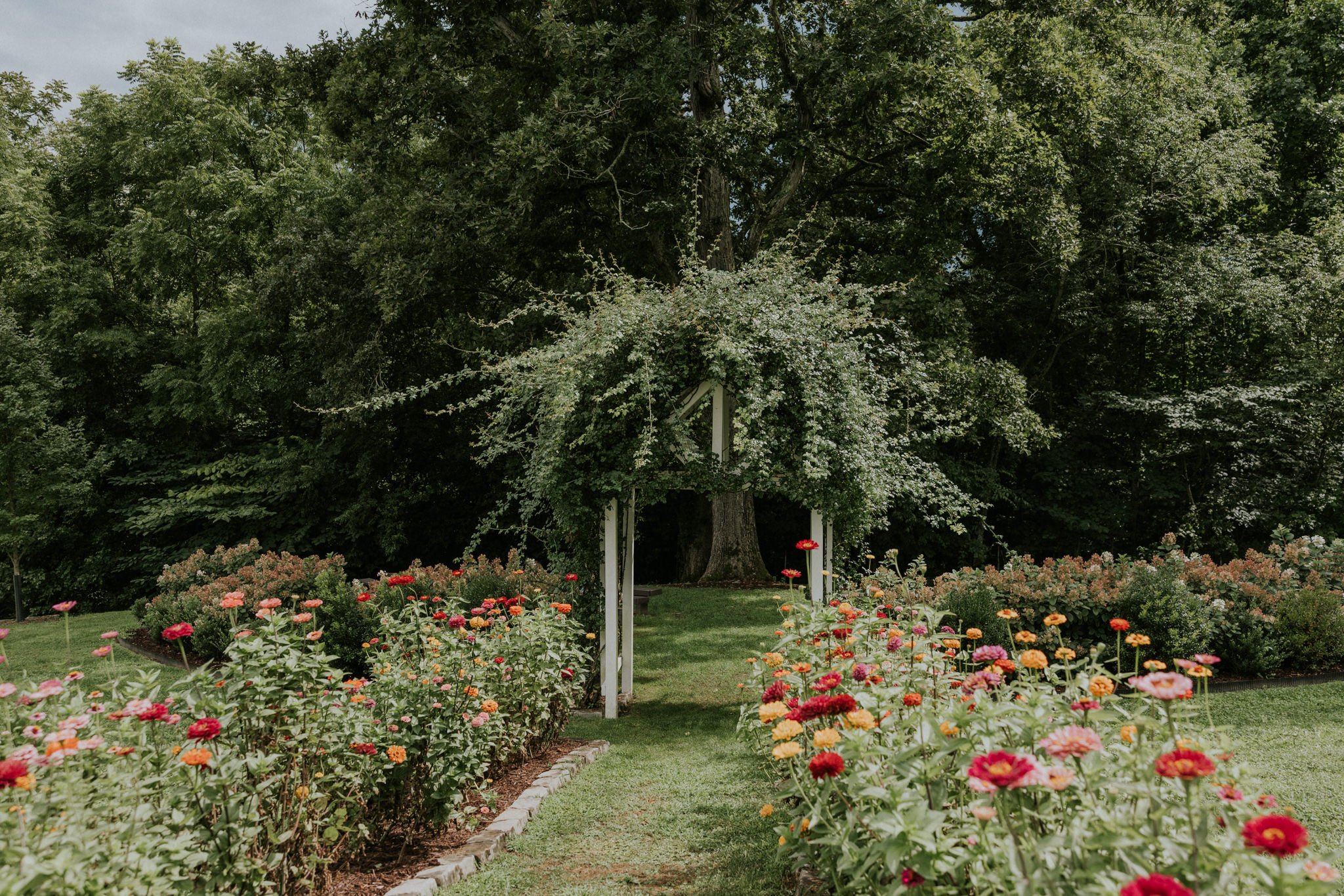 greenwood-oaks-farm-wildflower-garden-summer-wedding-afton-tennessee-greeneville-tn-katy-sergent-photography-64.jpg