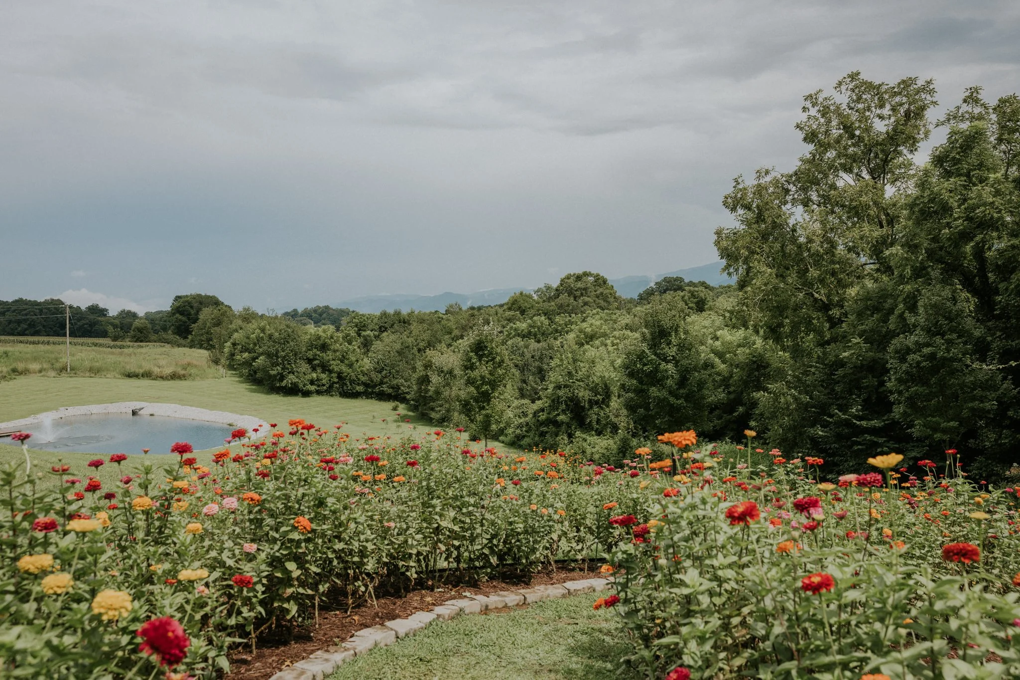 greenwood-oaks-farm-wildflower-garden-summer-wedding-afton-tennessee-greeneville-tn-katy-sergent-photography-65.jpg