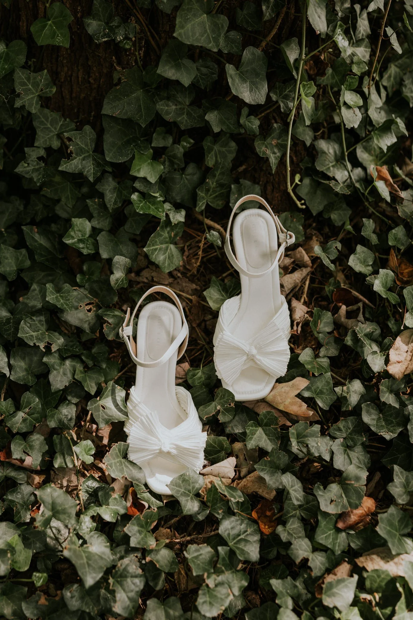highland-brewing-asheville-north-carolina-wedding-mountain-adventurous-katy-sergent-photography-8.jpg