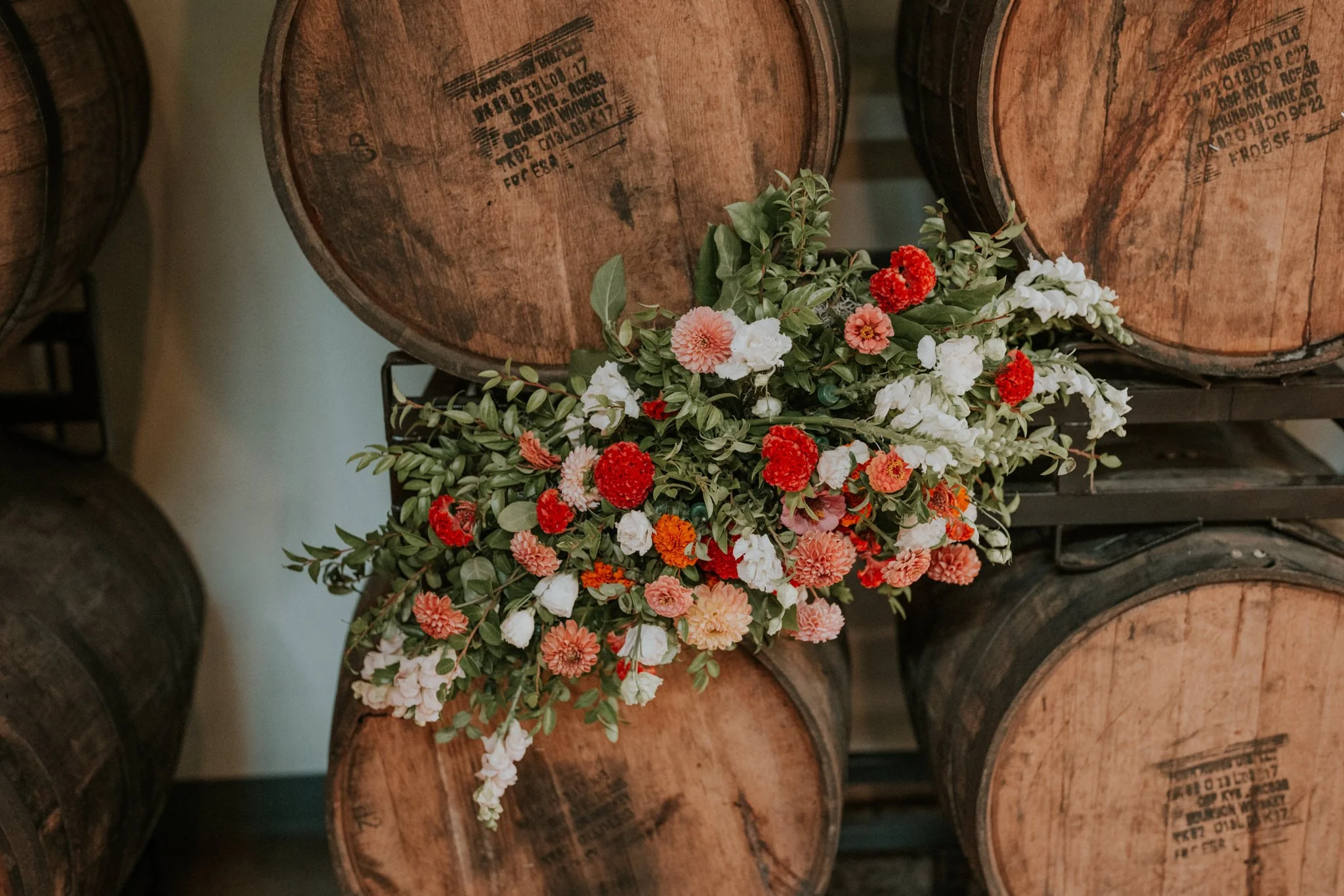 highland-brewing-asheville-north-carolina-wedding-mountain-adventurous-katy-sergent-photography-48.jpg