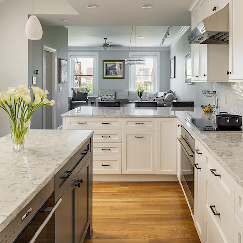 KitchenVisions-Open_Concept_Boston_Condo.jpeg
