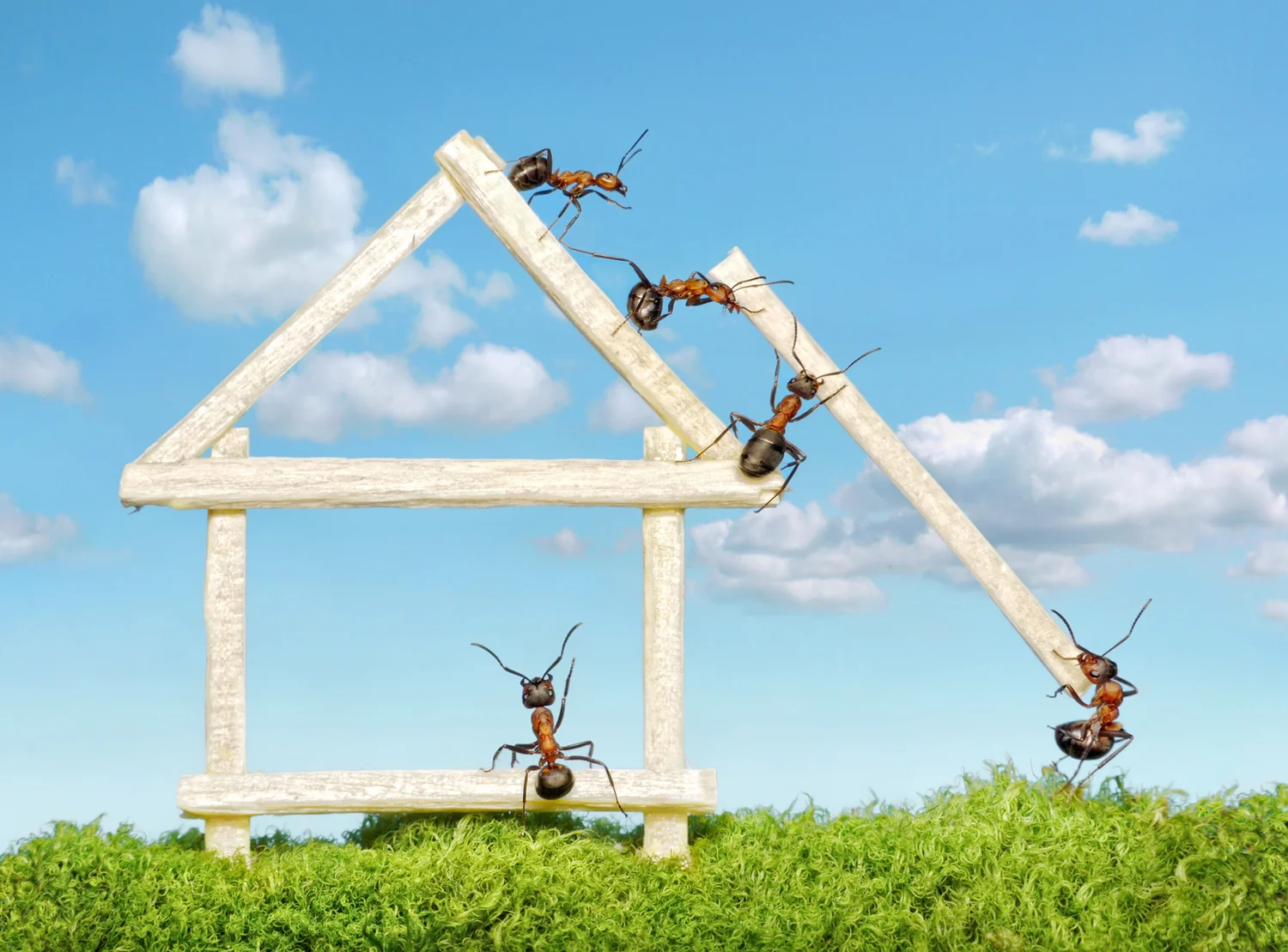 KitchenVisions+teamwork+dreamstime_l_15772165.jpg