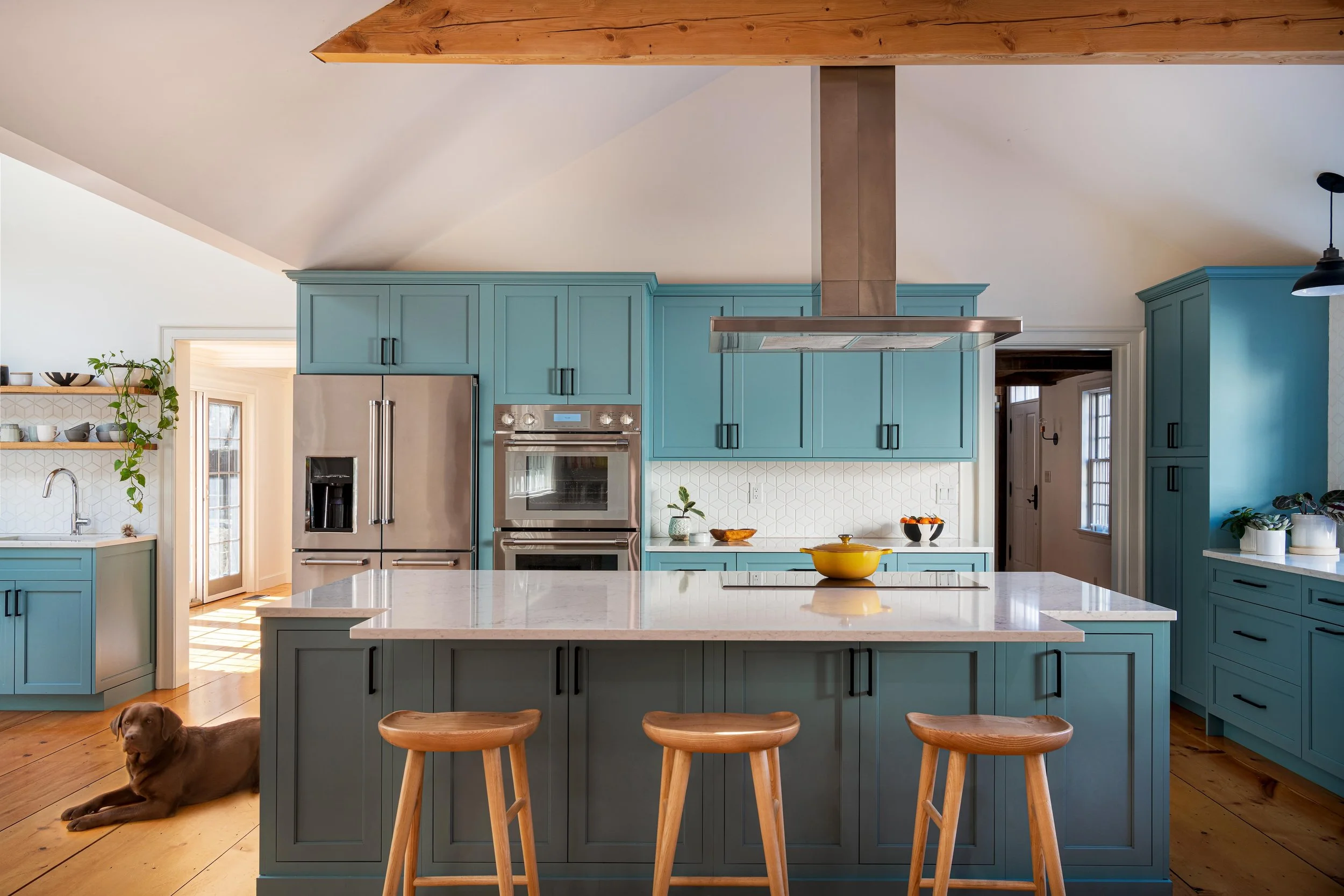 Bakers Best Kitchen Wayland Island View w dog KitchenVisions.jpeg