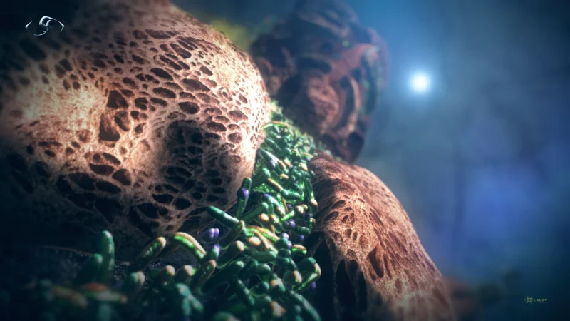 Vetruvian Man / Microbial Man