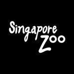 singapore_zoo_01-150x150.jpg