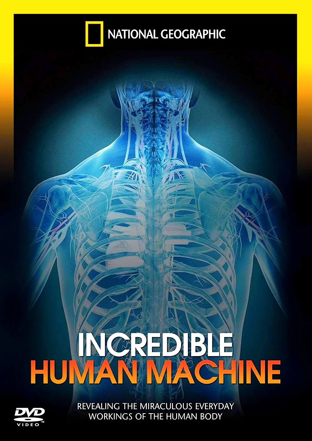 Incredible Human Machine (flat, color-matched).jpg