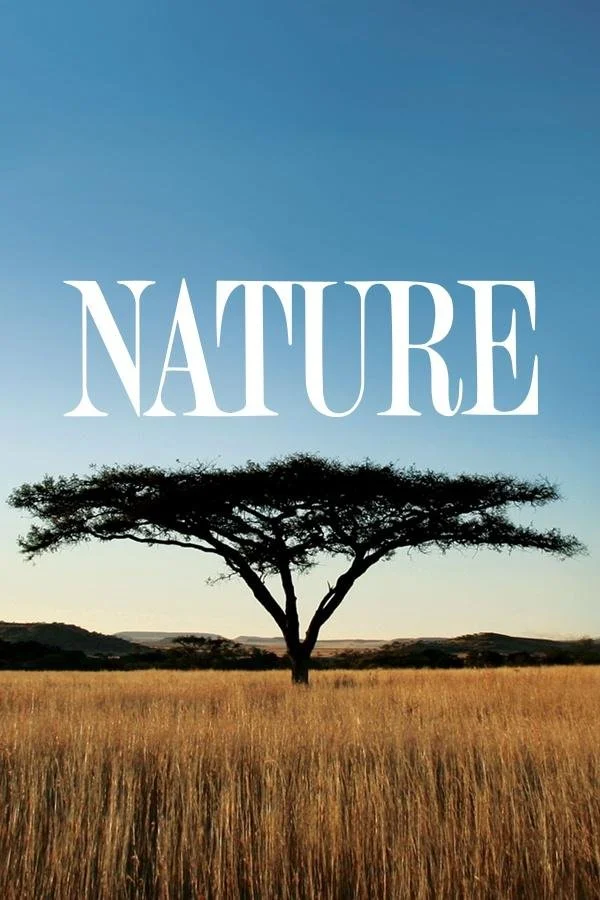 Nature.jpg
