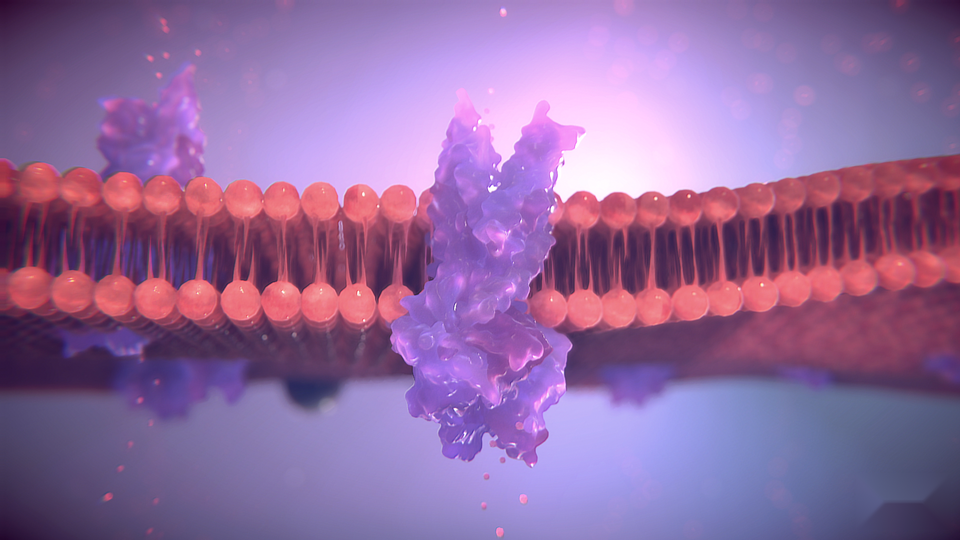 MEDICAL CGI