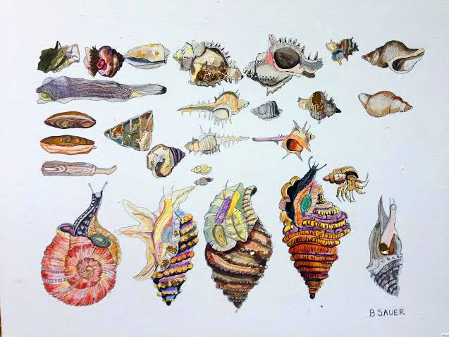 Slugs, Shells, Snails