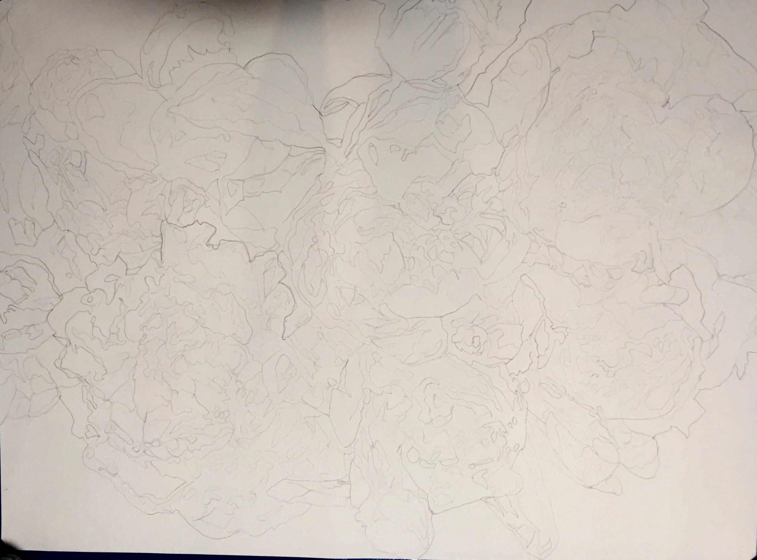 FullSizeRender (11).jpg