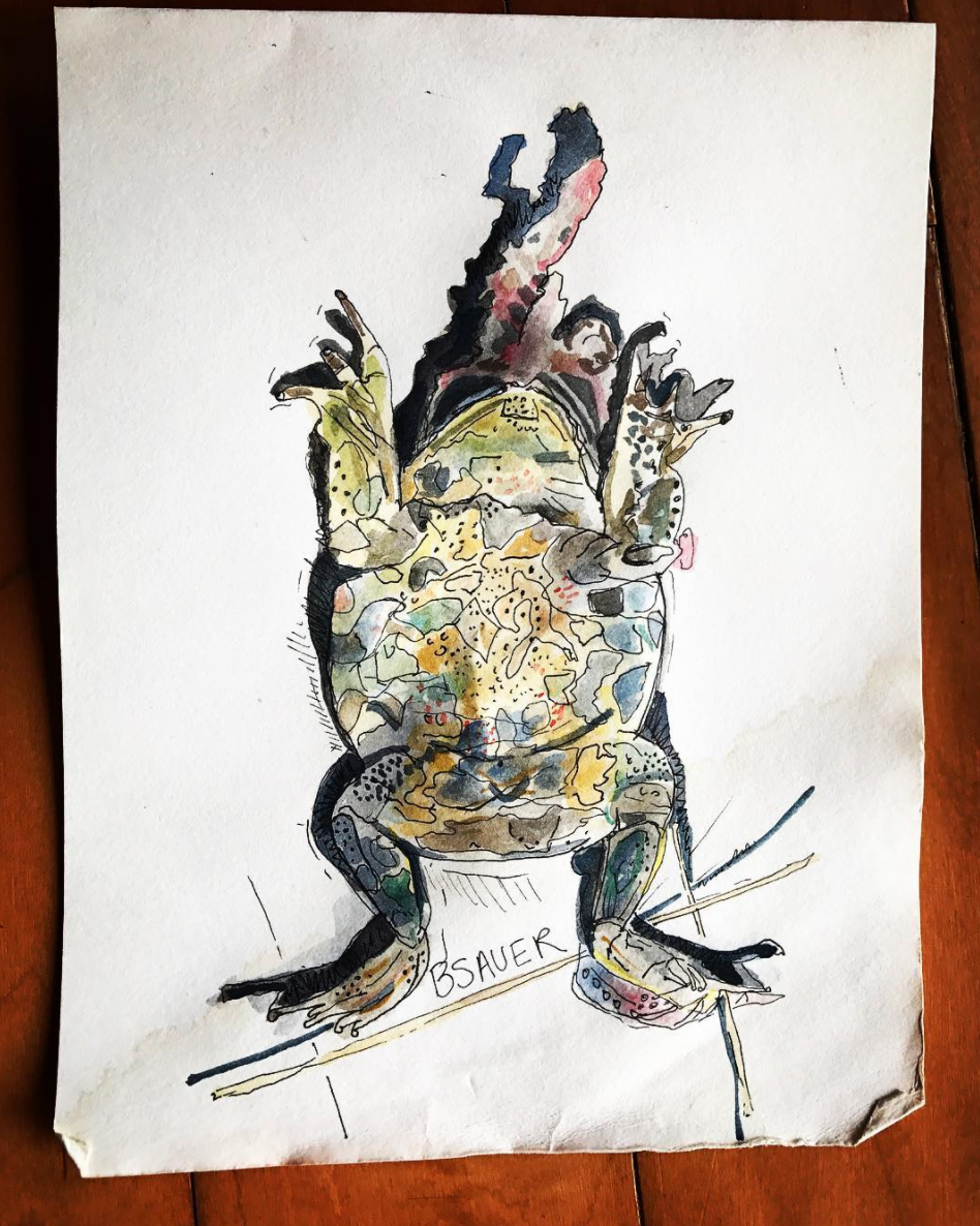 Screen Shot 2017-10-25 at 4.16.29 PM.png