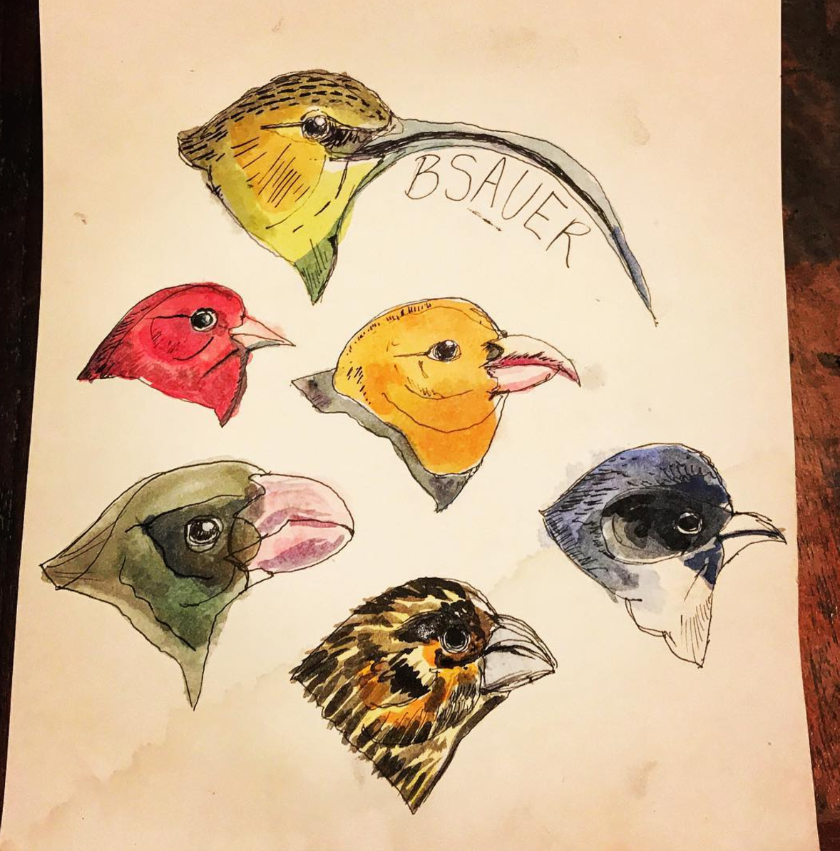 Screen Shot 2017-10-25 at 4.16.38 PM.png