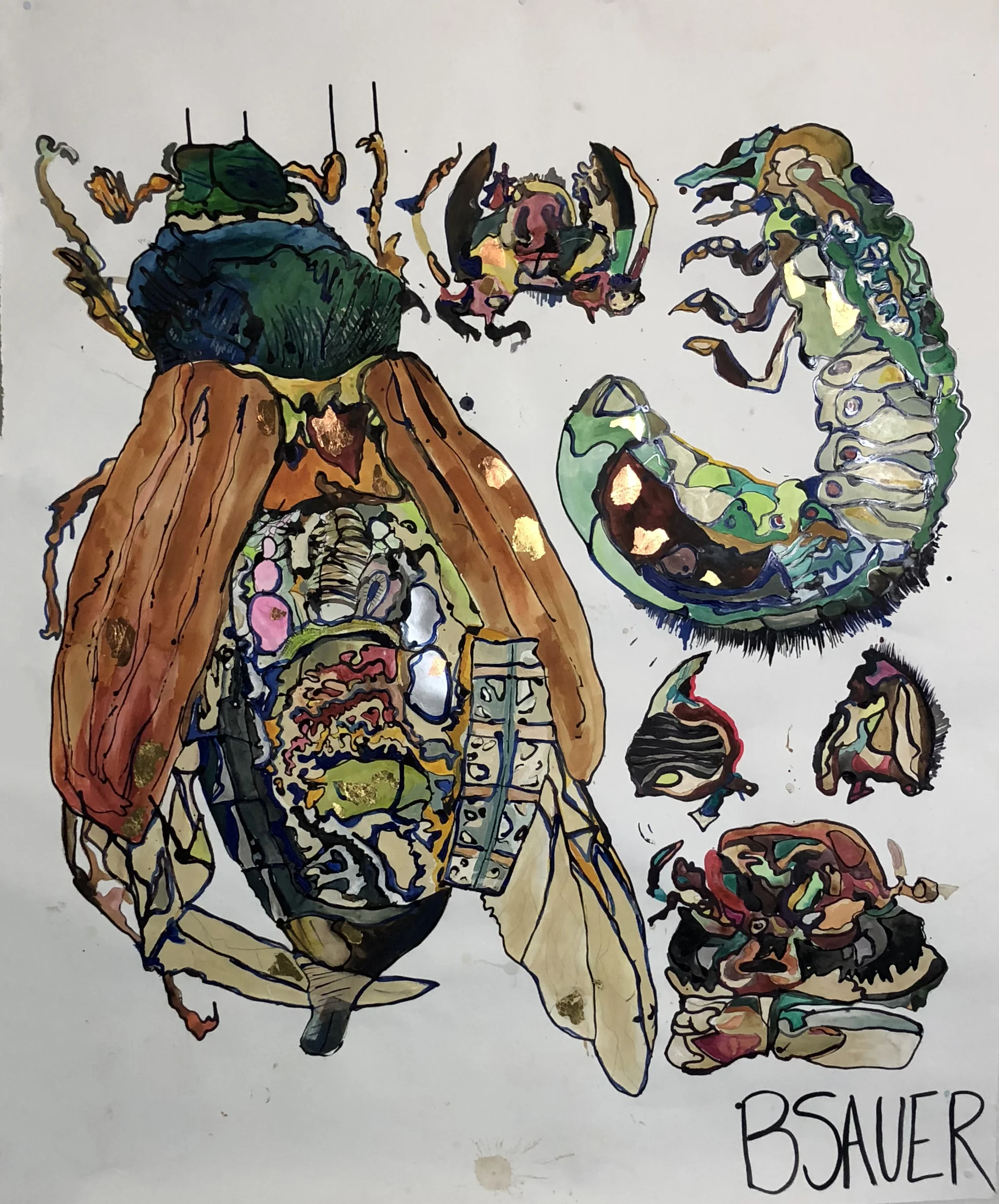 bugsss.jpg