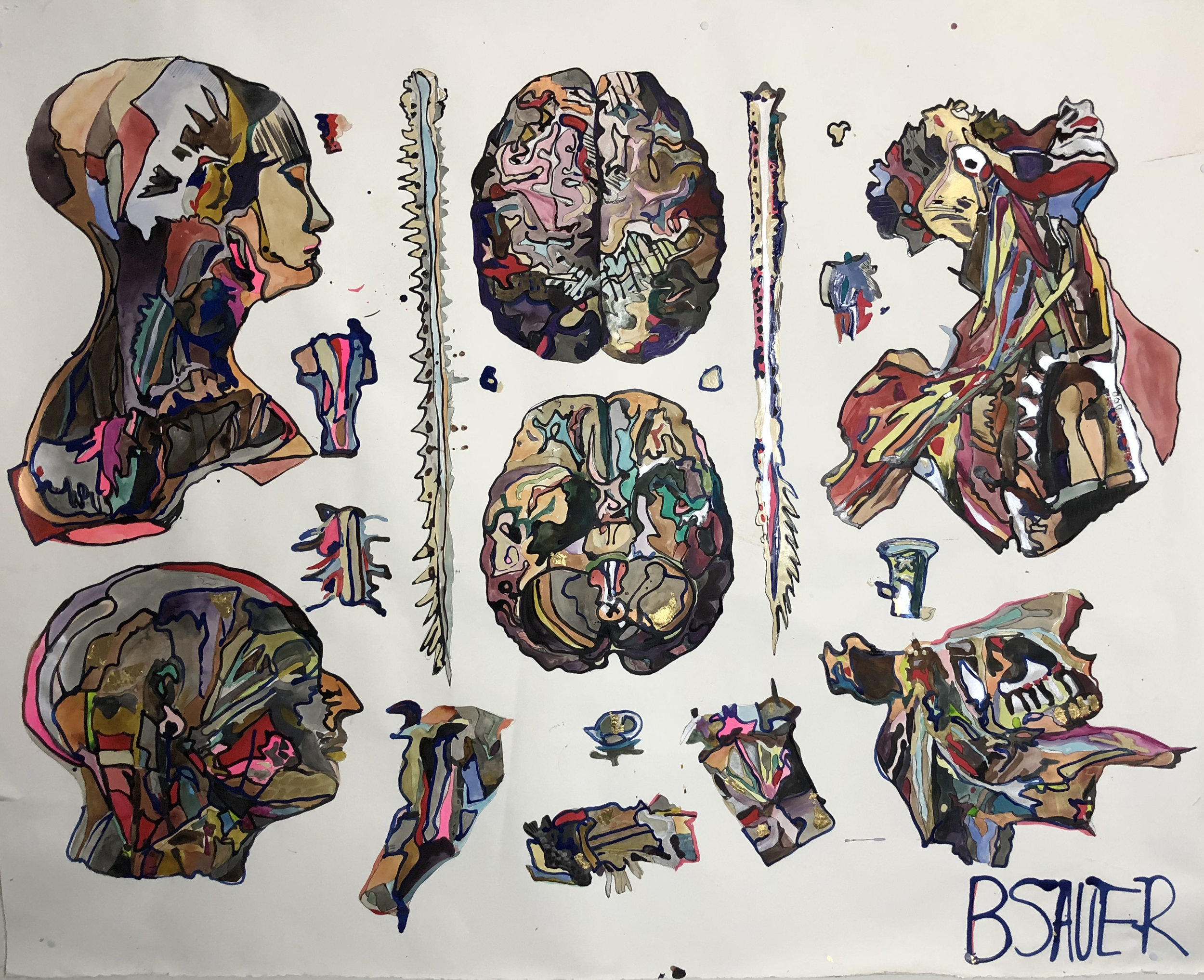 brains.jpg