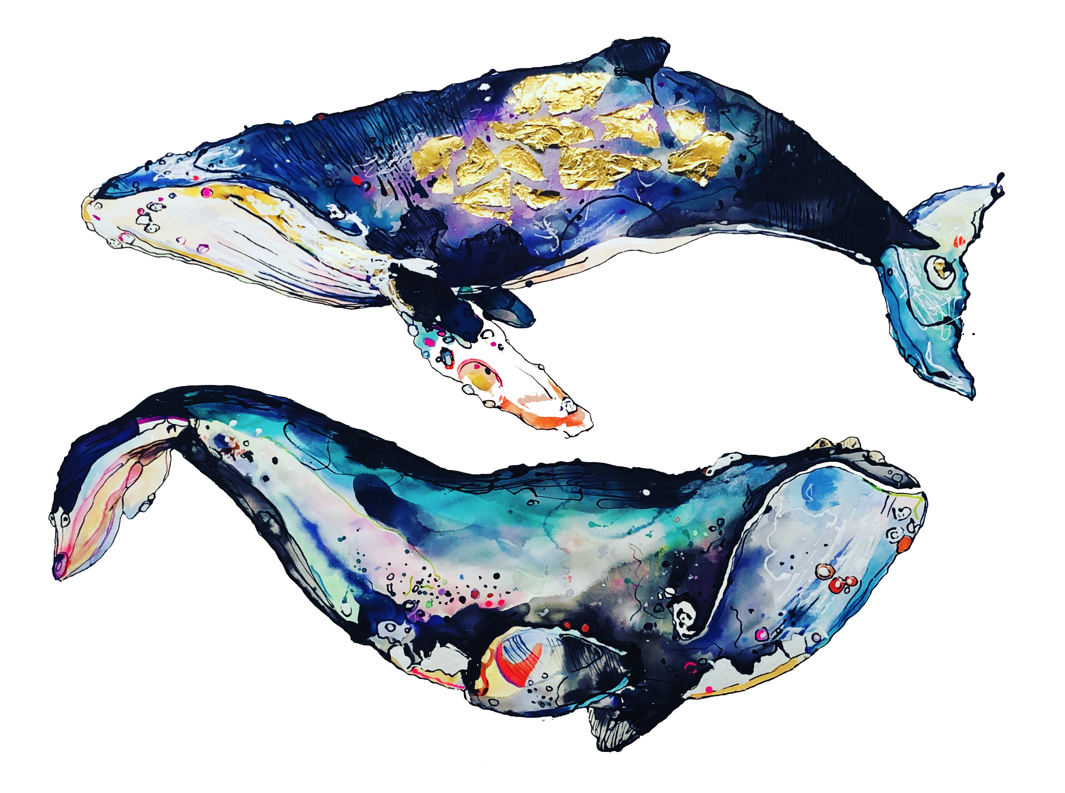 Whales.png