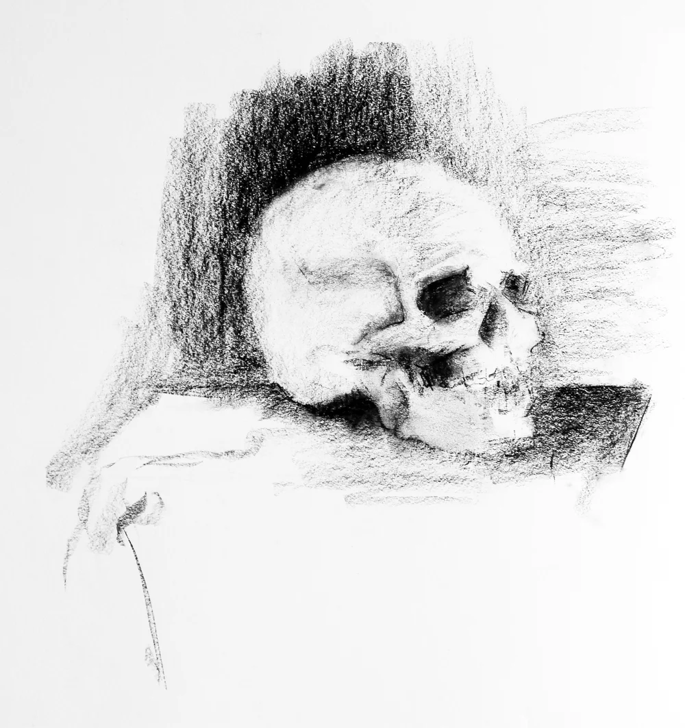 Beginning Drawing: Still Life (Contour and Value)