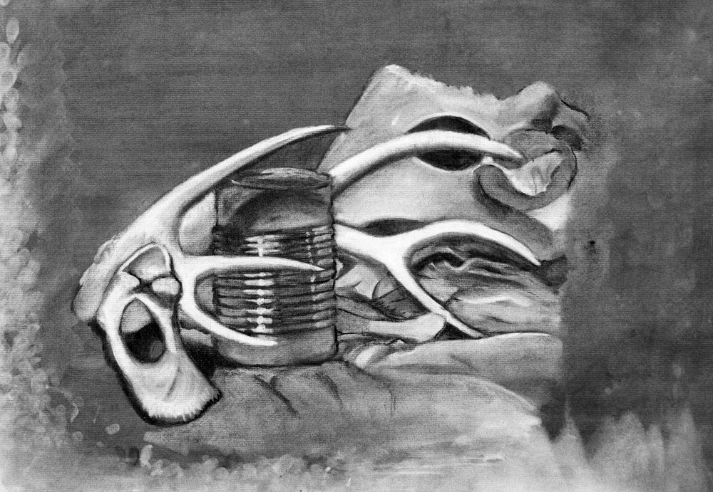 Beginning Drawing: Still Life (Value Study)