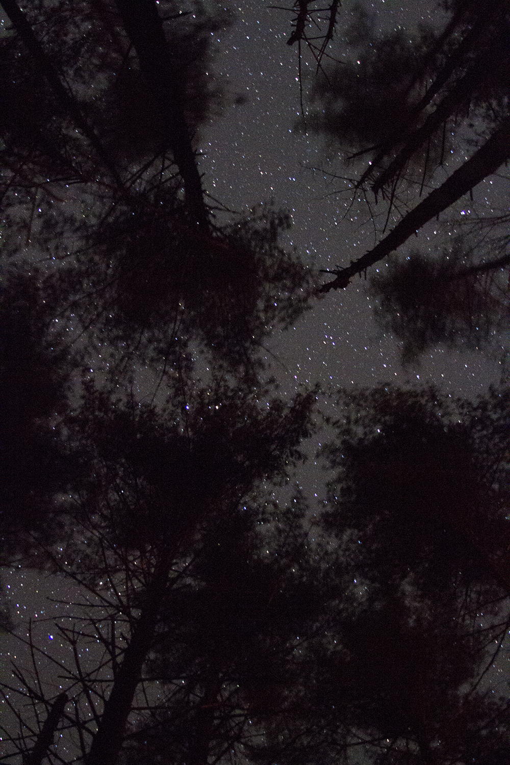 stars.jpg